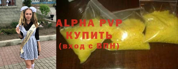 PSILOCYBIN Горняк