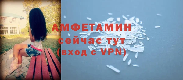PSILOCYBIN Горняк