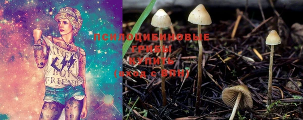PSILOCYBIN Горняк