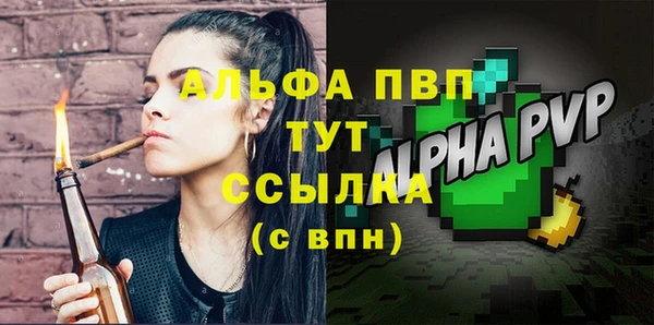 PSILOCYBIN Горняк