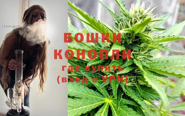 сатива Горнозаводск