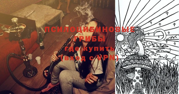трава Горно-Алтайск