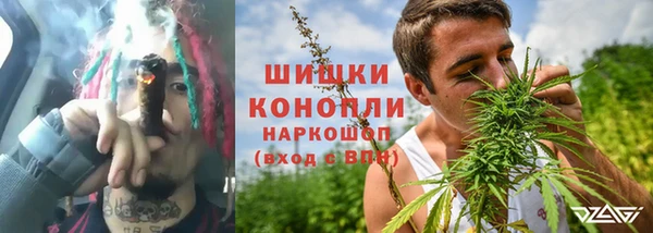 сатива Горнозаводск