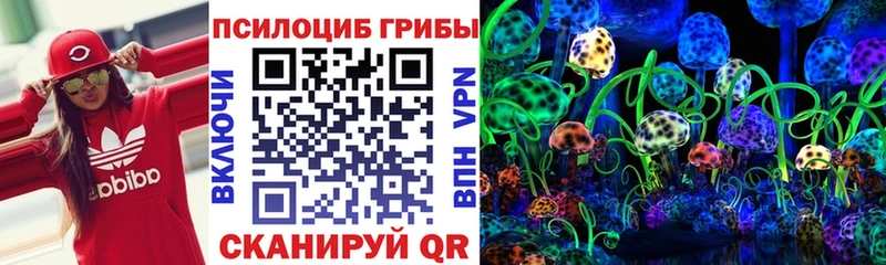 Псилоцибиновые грибы Cubensis  даркнет сайт  MEGA онион  Чухлома 